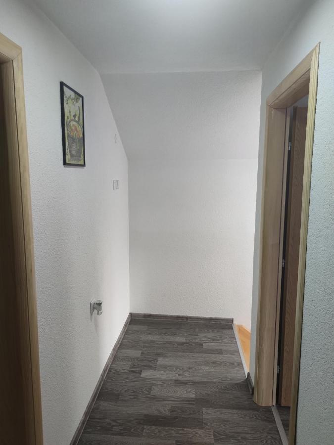 Apartman Amina-Ahmad Vinac-Яйце Екстер'єр фото